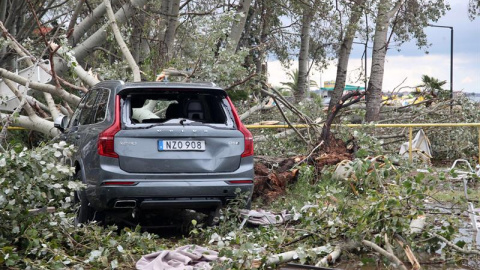 Un coche enterrado en árboles caídos. EFE / VERVERIDIS VASSILIS