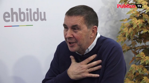 Otegi: "No soy partidario de meter a nadie en la cárcel con 83 años" Otegi: "No soy partidario de meter a nadie en la cárcel con 83 años"