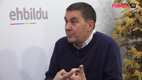 Otegi: "Nosotros somos independentistas, no aspiramos a dirigir el Estado español" Otegi: "Nosotros somos independentistas, no aspiramos a dirigir el Estado español"
