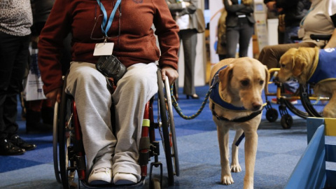 Una mujer discapacitada en silla de ruedas participa en una sesión de capacitación con un perro guía. AFP PHOTO Una mujer discapacitada en silla de ruedas participa en una sesión de capacitación con un perro guía. AFP PHOTO