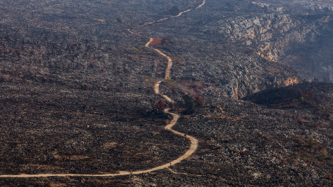 La desertización de nuestras tierras vista a través del objetivo de Miguel Lorenzo.- LAS NAVES