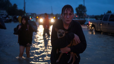 Una mujer lleva a su  perro en brazos tras ser evacuada de su casa debido a las inundaciones causadas por la tormenta tropical Harvey, en Houston, Texas (EEUU).- REUTERS
