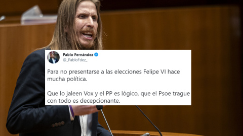 pablo-fernandez-felipevi-psoe