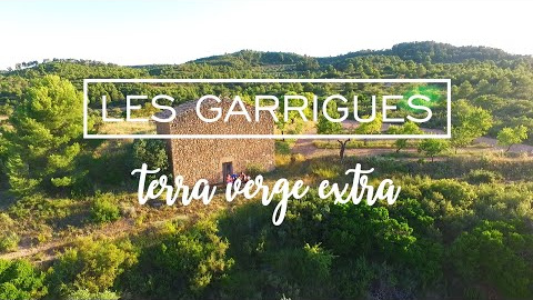 Gastronomia i vi Gastronomia i vi