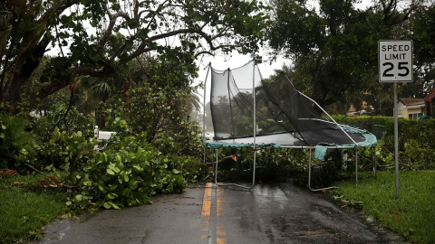 Un árbol caído en Pompano Beach, Florida. - AFP