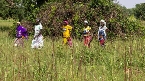 Imagen de archivo de varias mujeres en un campo en Ouahigouya, Burkina Faso, a 16 de enero de 2023. Imagen de archivo de varias mujeres en un campo en Ouahigouya, Burkina Faso, a 16 de enero de 2023.