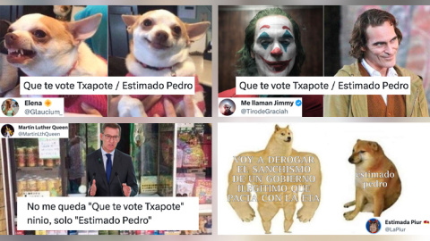 memes-carta