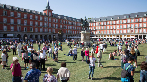 El Ayuntamiento de Madrid pone césped en la Plaza Mayor. / C.G