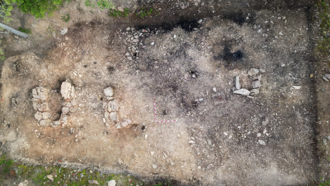 31-7-2023 Pla general del jaciment del bosc de Viràs 31-7-2023 Pla general del jaciment del bosc de Viràs