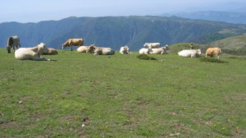 9 cims de Catalunya ideals per fer amb nens 9 cims de Catalunya ideals per fer amb nens