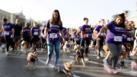 Salida en la madrileña plaza de Colón del Perrotón 2017, la 6º carrera solidaria que tiene como objetivo promover y fomentar la adopción y tenencia responsable de animales de compañía. EFE/Fernando Alvarado
