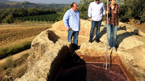 Els germans Porcioles Buixó, davant dels trulls de pedra en què elaboren el seu vi Finca Siós. MÒNICA MOMBIELA