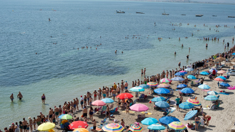 Decenas de personas durante el abrazo al Mar Menor, a 12 de agosto de 2023, en Murcia, Región de Murcia (España). Decenas de personas durante el abrazo al Mar Menor, a 12 de agosto de 2023, en Murcia, Región de Murcia (España).