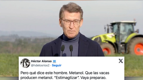feijoo-metanol