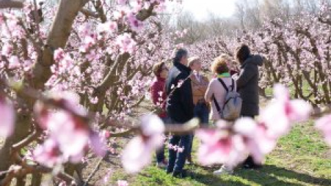 Set rutes pels camps florits per gaudir aquest 2024 Set rutes pels camps florits per gaudir aquest 2024