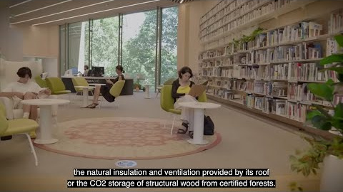 Fusta, llum i sis plantes