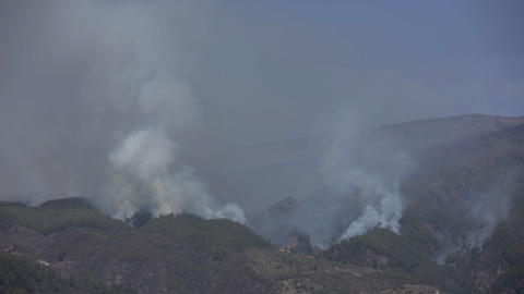 El frente activo de Mal Abrigo en las escarpadas laderas de Güímar, al sur de la isla, donde hoy se concentrarán brigadas especializadas. El frente activo de Mal Abrigo en las escarpadas laderas de Güímar, al sur de la isla, donde hoy se concentrarán brigadas especializadas.