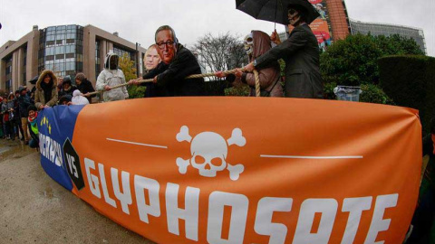 Activistas se congregan con máscaras del presidente de la Comisión Europea, Jean-Claude Juncker, y otros comisarios, en protesta contra el herbicida glifosato frente a la sede de la Comisión Europea en Bruselas. | OLIVIER HOSLET (EFE) Activistas se congregan con máscaras del presidente de la Comisión Europea, Jean-Claude Juncker, y otros comisarios, en protesta contra el herbicida glifosato frente a la sede de la Comisión Europea en Bruselas. | OLIVIER HOSLET (EFE)