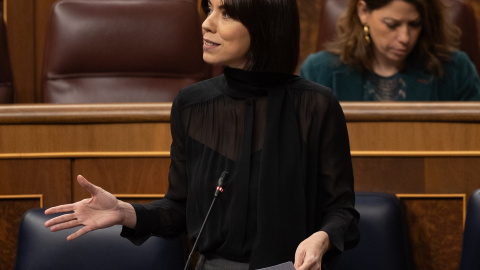La ministra de Ciencia, Innovación y Universidades, este miércoles en el Congreso La ministra de Ciencia, Innovación y Universidades, este miércoles en el Congreso