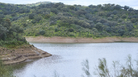 Detalle del embalse de la Minilla, en el Ronquillo, a 11 de marzo de 2024 en Sevilla Detalle del embalse de la Minilla, en el Ronquillo, a 11 de marzo de 2024 en Sevilla