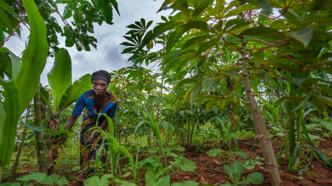 Mujer refugiada en el asentamiento de Nakivale, en Uganda. Mujer refugiada en el asentamiento de Nakivale, en Uganda.