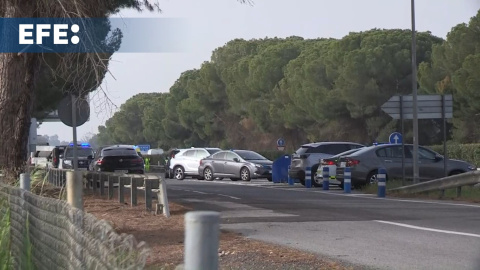 Seis muertos al arrollar un camión un control de la Guardia Civil en Los Palacios Seis muertos al arrollar un camión un control de la Guardia Civil en Los Palacios