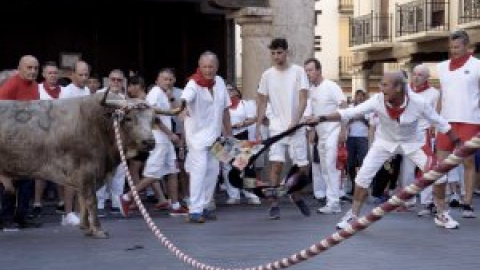 El maltrato animal está presente en casi 17.000 fiestas al año en España El maltrato animal está presente en casi 17.000 fiestas al año en España