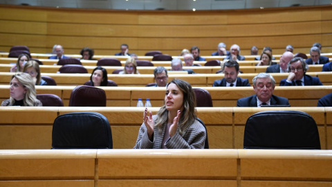 La ministra de Igualdad, Irene Montero, aplaude durante una sesión plenaria, en el Senado, a 8 de febrero de 2023, en Madrid. La ministra de Igualdad, Irene Montero, aplaude durante una sesión plenaria, en el Senado, a 8 de febrero de 2023, en Madrid.
