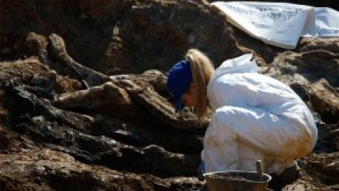 Las mujeres que buscan a los desaparecidos de la guerra de Bosnia Las mujeres que buscan a los desaparecidos de la guerra de Bosnia