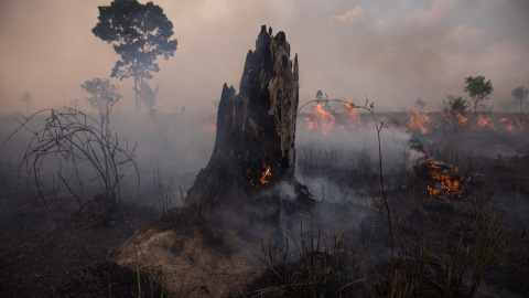 Fuego en el Amazonas. Fuego en el Amazonas.