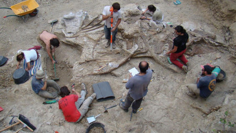 Imagen de un Garumbatitan encontrado en Morella. Imagen de un Garumbatitan encontrado en Morella.