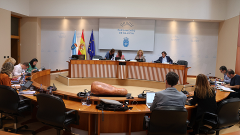 6/10/23 Reunión de la Comisión Institucional del Parlamento de Galicia el pasado jueves. 6/10/23 Reunión de la Comisión Institucional del Parlamento de Galicia el pasado jueves.