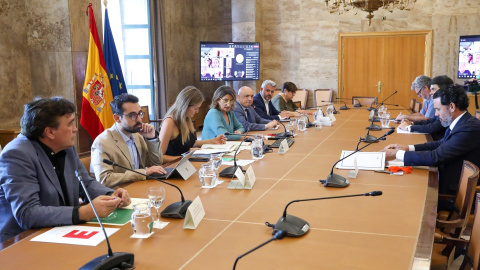 La vicepresidenta tercera y ministra para la Transición Ecológica, Teresa Ribera, en una reunión del Consejo de ministros de Energía de la UE, en Madrid, a 27 de julio de 2022. La vicepresidenta tercera y ministra para la Transición Ecológica, Teresa Ribera, en una reunión del Consejo de ministros de Energía de la UE, en Madrid, a 27 de julio de 2022.
