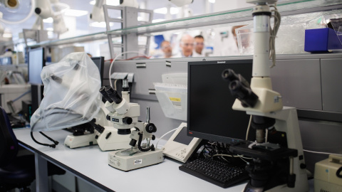 Microscopios en el laboratorio de la farmacéutica Berlimed, a 10 de octubre de 2023, en Alcalá de Henares, Madrid Microscopios en el laboratorio de la farmacéutica Berlimed, a 10 de octubre de 2023, en Alcalá de Henares, Madrid