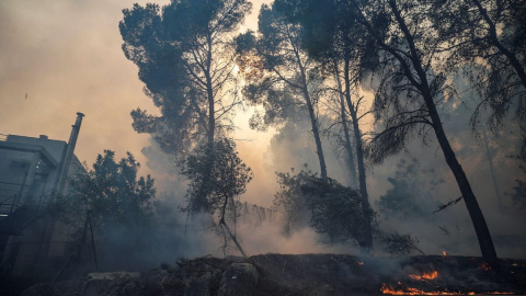 Una zona afectada por el fuego, a 3/11/2023, en Ador, València. - Rober Solsona / Europa Press. Una zona afectada por el fuego, a 3/11/2023, en Ador, València. - Rober Solsona / Europa Press.