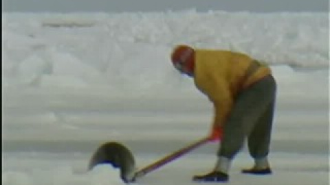 Canadá y Rusia inician la matanza de focas Canadá y Rusia inician la matanza de focas