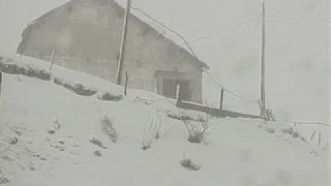 La nieve cubre gran parte de Asturias La nieve cubre gran parte de Asturias