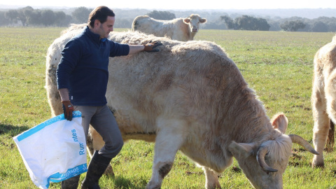 Isabel de la Calle Fernández