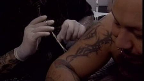 A por el récord Guinness de 'piercing' A por el récord Guinness de 'piercing'