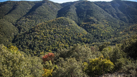 Espai Natural Protegit de les Muntanyes de Prades
