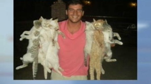 Los maltratadores de gatos se sentarán en el banquillo Los maltratadores de gatos se sentarán en el banquillo