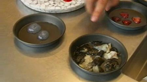 Trashcooking, una cocina sin desperdicio Trashcooking, una cocina sin desperdicio