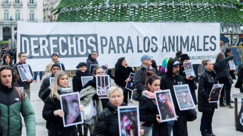 Decenas de personas sostienen fotos de animales, durante una concentración por el Día internacional de los derechos de los animales, a 9 de diciembre de 2023, en Madrid Decenas de personas sostienen fotos de animales, durante una concentración por el Día internacional de los derechos de los animales, a 9 de diciembre de 2023, en Madrid
