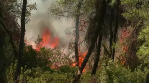 La isla de Eubea, en Grecia, desaloja dos mil residentes tras los incendios La isla de Eubea, en Grecia, desaloja dos mil residentes tras los incendios