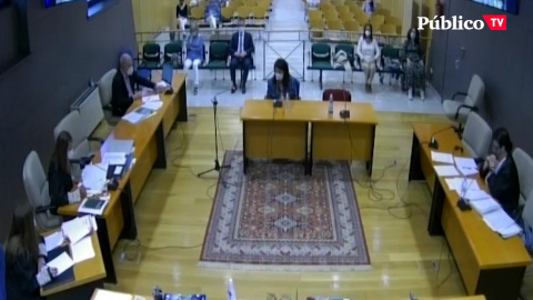 Declaraciones de la psicóloga que diagnosticó SAP Declaraciones de la psicóloga que diagnosticó SAP