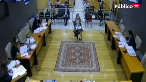 La fiscal defiende que el SAP existe La fiscal defiende que el SAP existe