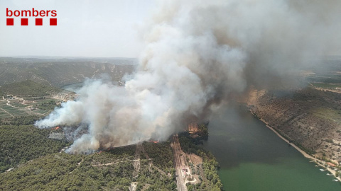 Imatge aèria del foc forestal que crema prop del riu Ebre a la Pobla de Massaluca. Imatge aèria del foc forestal que crema prop del riu Ebre a la Pobla de Massaluca.