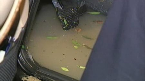 40 litros por metro cuadrado en 35 minutos en Elche 40 litros por metro cuadrado en 35 minutos en Elche