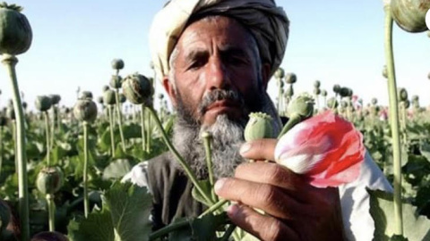 El diario italiano Corriere Della Sera abre su edición de este miércoles con esta imagen para ilustrar el trabajo del periodista Roberto Saviano sobre el narcotráfico en Afganistán El diario italiano Corriere Della Sera abre su edición de este miércoles con esta imagen para ilustrar el trabajo del periodista Roberto Saviano sobre el narcotráfico en Afganistán