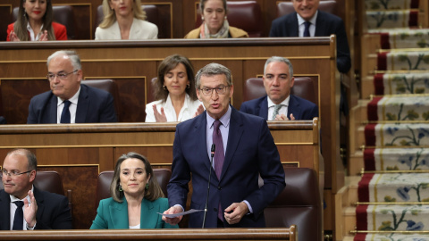 El presidente del PP, Alberto Núñez Feijóo, interviene durante una sesión de control al Gobierno, en el Congreso de los Diputados, a 24 de abril de 2024, en Madrid. El presidente del PP, Alberto Núñez Feijóo, interviene durante una sesión de control al Gobierno, en el Congreso de los Diputados, a 24 de abril de 2024, en Madrid.